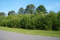 Farm and Ranch in Northumberland County, Virginia