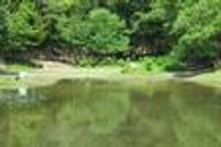 Recreational Property in Freestone County, Texas