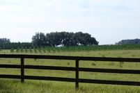 Land in Columbia County, Florida