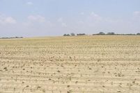 Farm and Ranch in Dale County, Alabama
