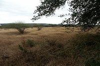 Farm and Ranch in Colorado County, Texas