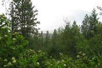 Timberland Property in Kootenai County, Idaho