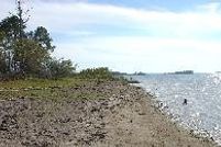 Farm and Ranch in San Augustine County, Texas