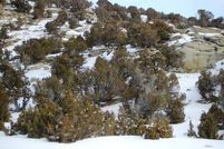 Farm and Ranch in Fremont County, Wyoming