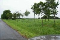 Farm and Ranch in Lamar County, Texas