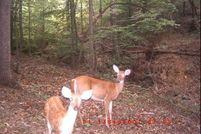 Land in Halifax County, Virginia
