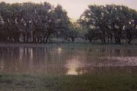 Farm and Ranch in Stephens County, Texas