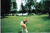 Undeveloped Land in Becker County, Minnesota