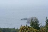 Oceanfront Property in Curry County, Oregon