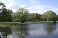Commercial Property in Grimes County, Texas