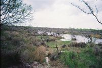 Farm and Ranch in Webb County, Texas