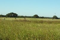 Land in Dewitt County, Texas