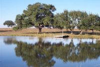 Farm and Ranch in Lavaca County, Texas