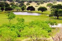 Farm and Ranch in Kerr County, Texas