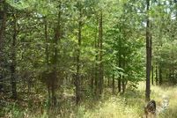 Land in Prince Edward County, Virginia