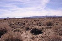 House in Churchill County, Nevada