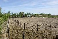 Farm and Ranch in Churchill County, Nevada