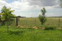 Land in Churchill County, Nevada