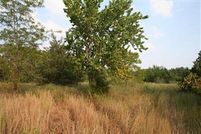 Land in Dallas County, Missouri
