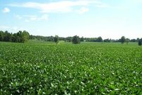 Farm and Ranch in Barren County, Kentucky