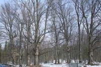 Land in Saint Lawrence County, New York