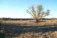 Land in Limestone County, Texas
