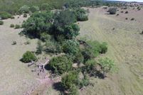 Timberland Property in Coryell County, Texas