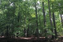 Undeveloped Land in Nelson County, Virginia