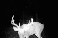 Undeveloped Land in Okfuskee County, Oklahoma