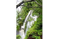 Farm and Ranch in Hawaii County, Hawaii