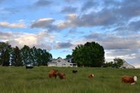 Land in Ravalli County, Montana