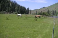 Riverfront Property in Idaho County, Idaho