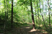Land in Patrick County, Virginia