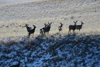 Land in Garfield County, Montana