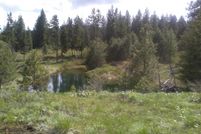 Timberland Property in Adams County, Idaho