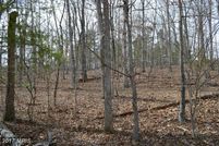 Undeveloped Land in Warren County, Virginia