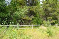 Undeveloped Land in Valley County, Idaho