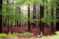 Undeveloped Land in Pike County, Pennsylvania