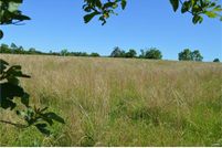 Farm and Ranch in Laclede County, Missouri