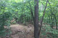 Timberland Property in Le Flore County, Oklahoma