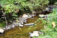 Undeveloped Land in Douglas County, Oregon