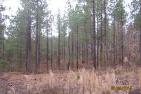 Undeveloped Land in Mecklenburg County, Virginia