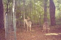 Land in Dougherty County, Georgia