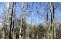 Undeveloped Land in Cherokee County, Oklahoma