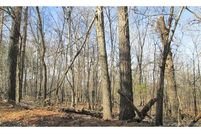 Undeveloped Land in Cherokee County, Oklahoma