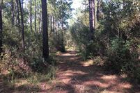 Hunting Property in Tift County, Georgia