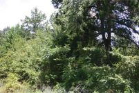 Undeveloped Land in Wood County, Texas