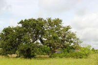 Recreational Property in Austin County, Texas