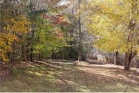 Undeveloped Land in Gwinnett County, Georgia