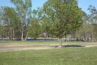 Undeveloped Land in Pamlico County, North Carolina